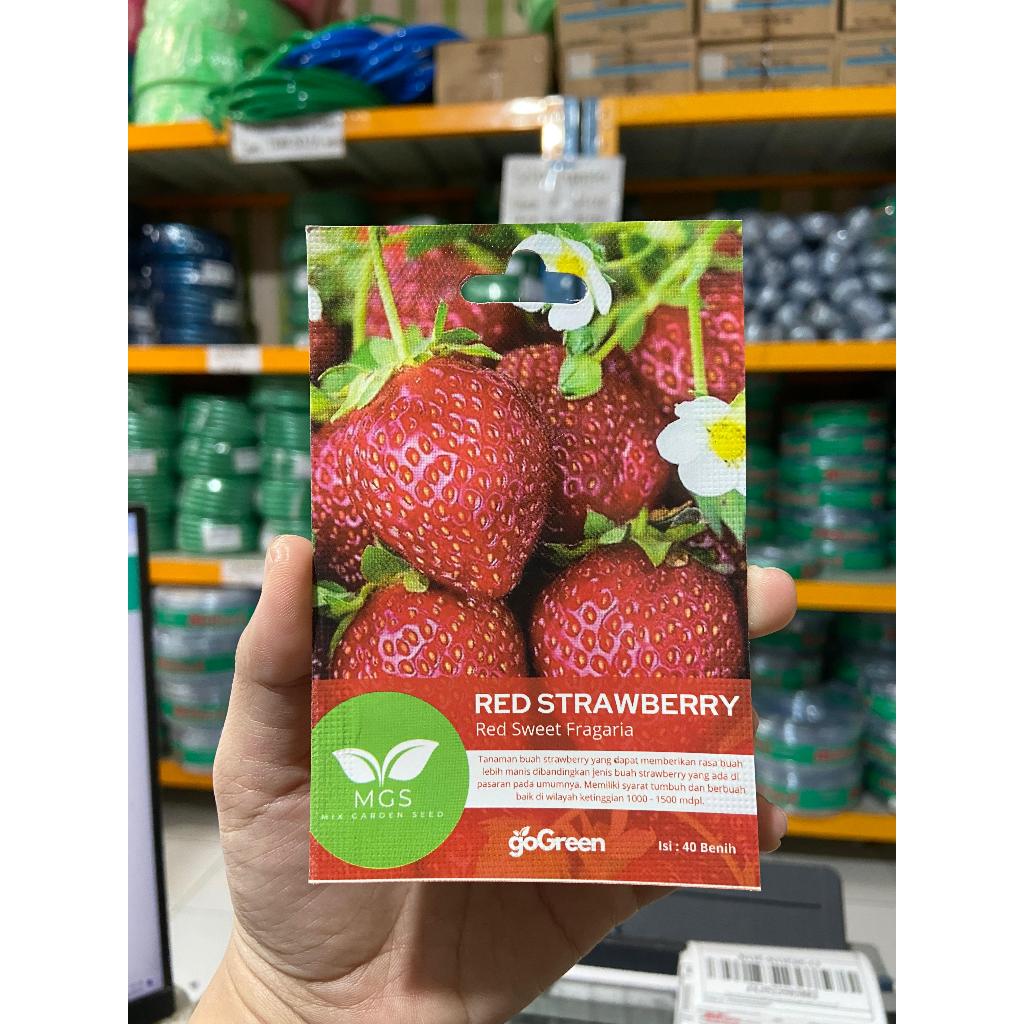 Benih Strawberry Urban Farmer Seeds-Benih Red Strawberry Murah Isi banyak-Benih Strawberry murah