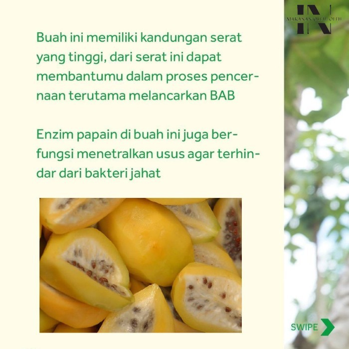 

SDF Carica Sumbing Segar Kemasan Buah Carica Minuman Carica Segar Berbagai Macam Kemasan