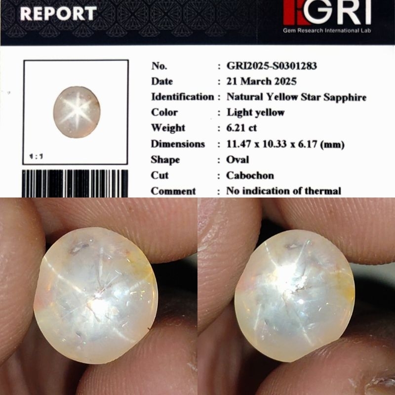 RARE ITEM Natural Star Yellow Sapphire Srilanka 6.2ct Memo GRI Star Main