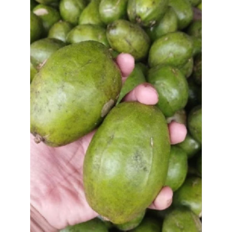 

kedondong super 1kg