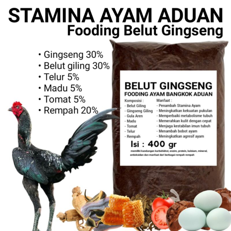 Belut gingseng ekstra Fooding ayam Pama aduan
