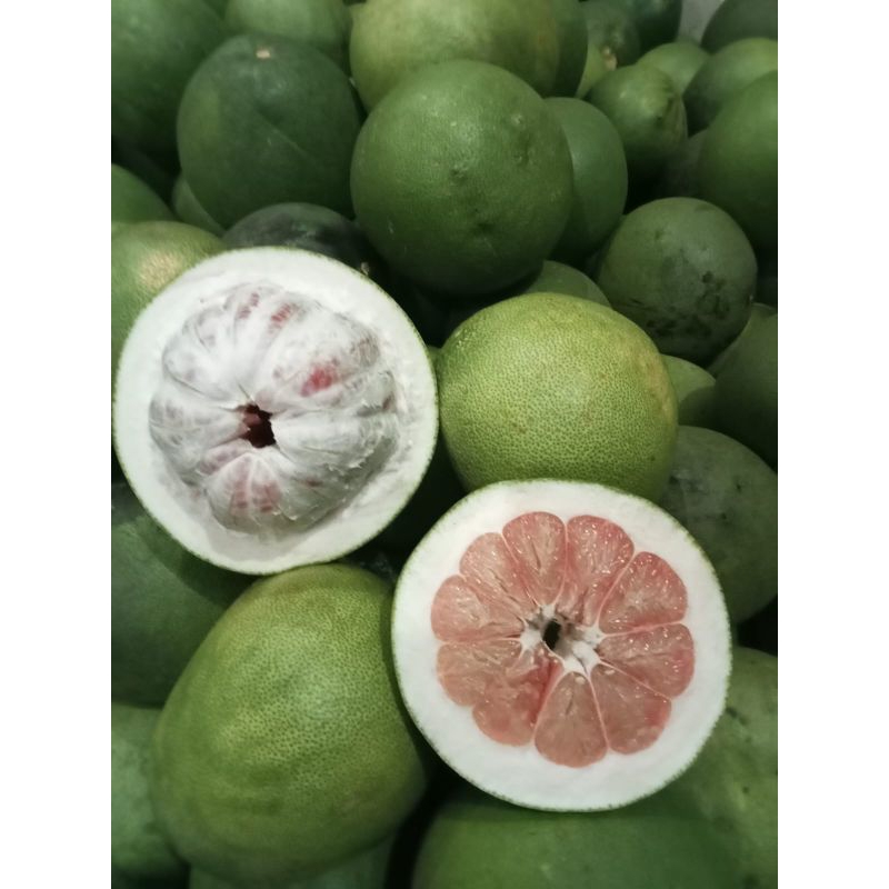 

Jeruk pamelo madu ukuran 1.1kg dari Pati gembong