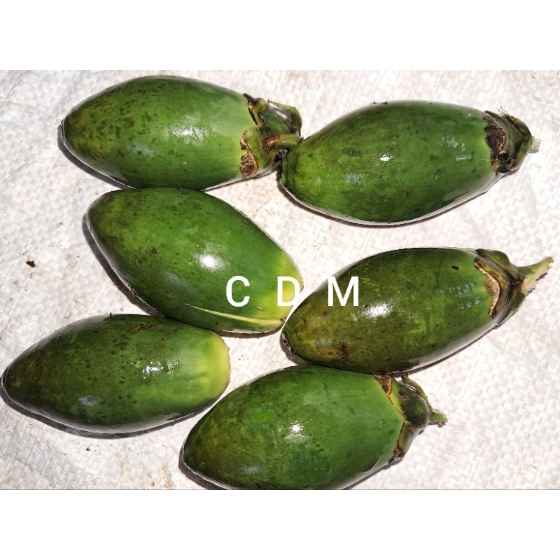 

buah pinang muada atau Jambe suplemen setamina pria