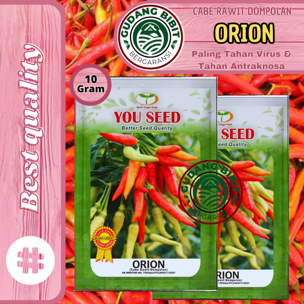 Benih Bibit Biji Cabe Rawit Setan ORION isi 10g Cabe Dompolan Cap You Seed