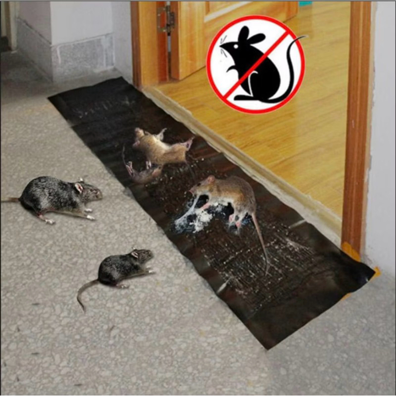 Lem Perangkap Tikus Lem Jebakan Tikus Pembasmi Tikus Tempelan Tikus Lem Tikus Kuat Lem Hama