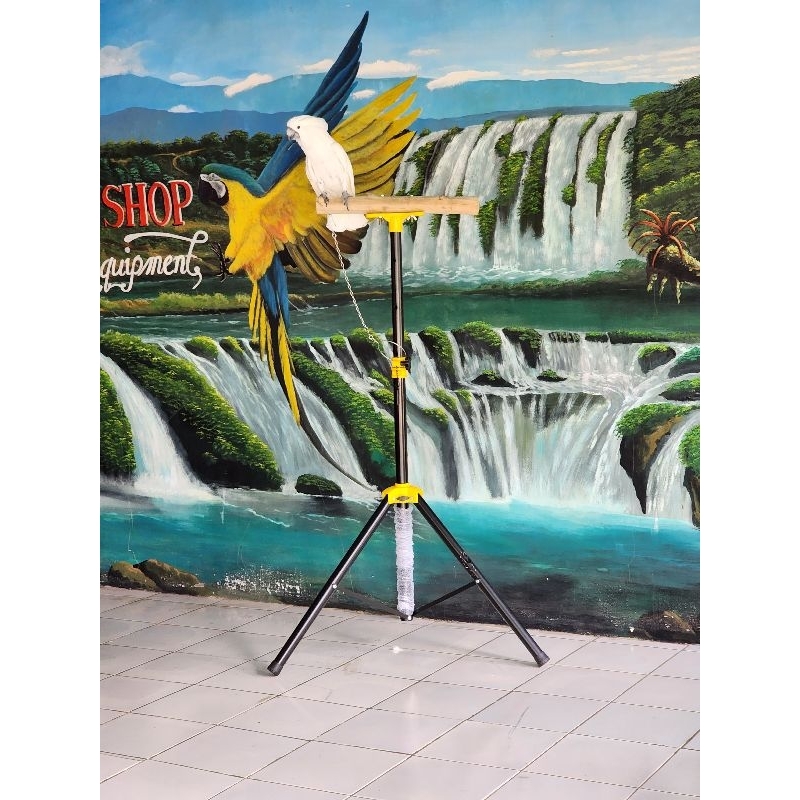 Tripod tangkringan burung macaw kaka tua