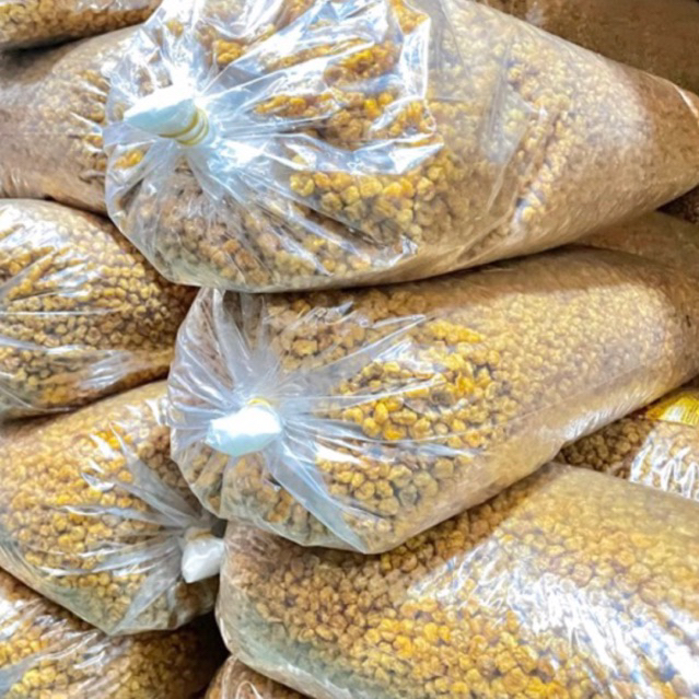 

JAGUNG MARNING PEDAS MANIS 500 GRAM GURIH RENYAH HALALHALAL