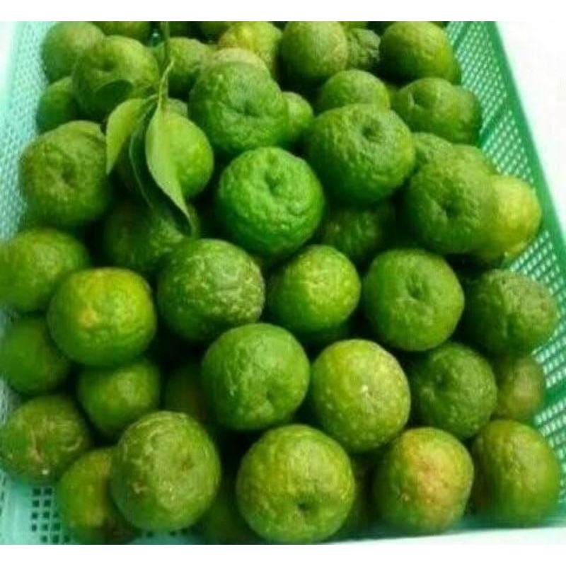 

jeruk limo fresh harga grosir 1 kg