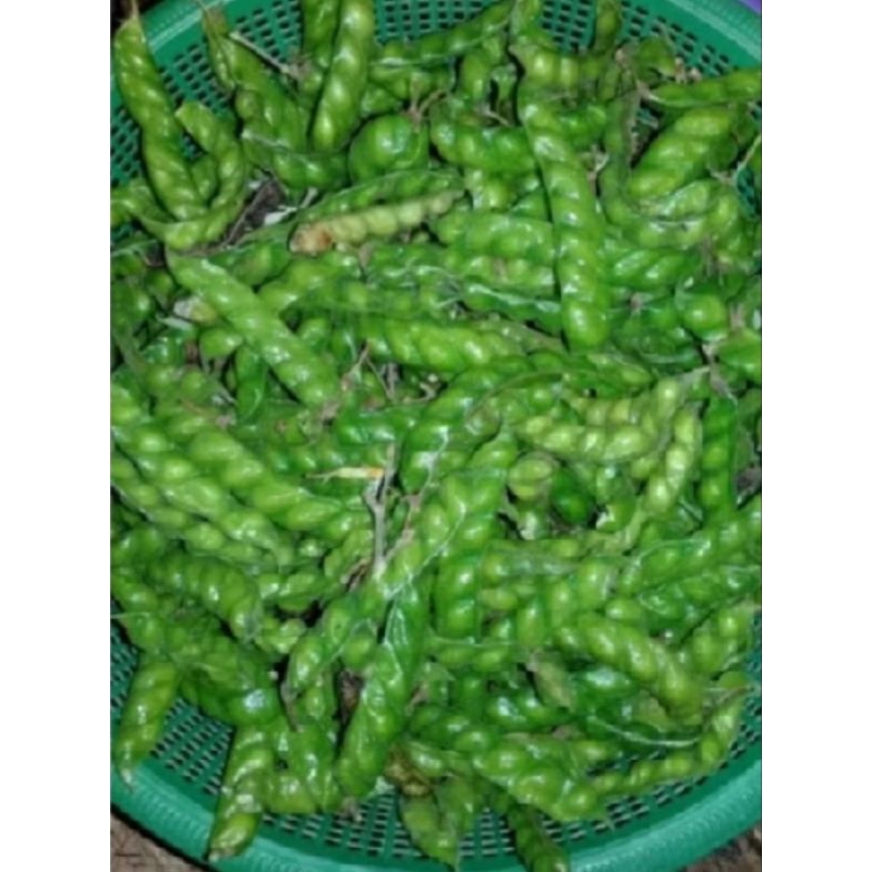 

hiris 150 gram fresh