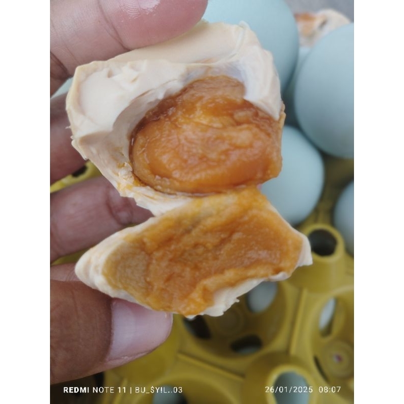 

TELUR ASIN BESAR OMEGA 3 MASIR GURIH KHAS BREBES