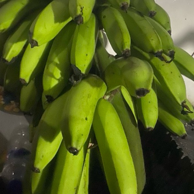 

Buah Pisang Matah TP MLTK isi 10 Buah Pisang