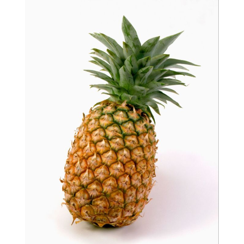 

buah nanas 1.15kg - 1.25kg