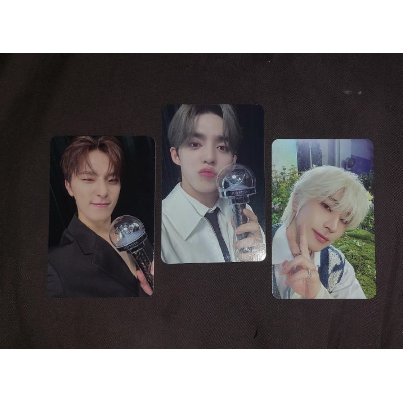 CARATZONE IN ASIA SCOUPS / DINO