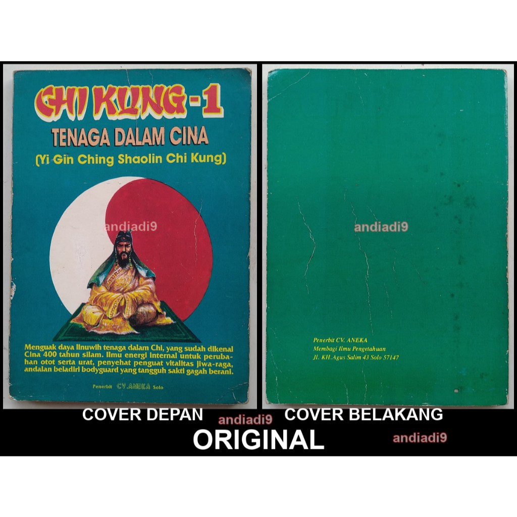 BUKU CHI KUNG 1 TENAGA DALAM CINA YI GIN CHING SHOLIN CHI KUNG BRAHMANTIO 1994 ORIGINAL