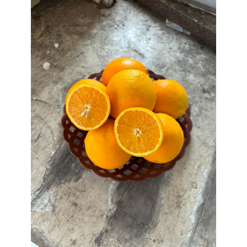 

HAPPYFRESHFRUITS Jeruk Valencia Size Kecil - 900 gram