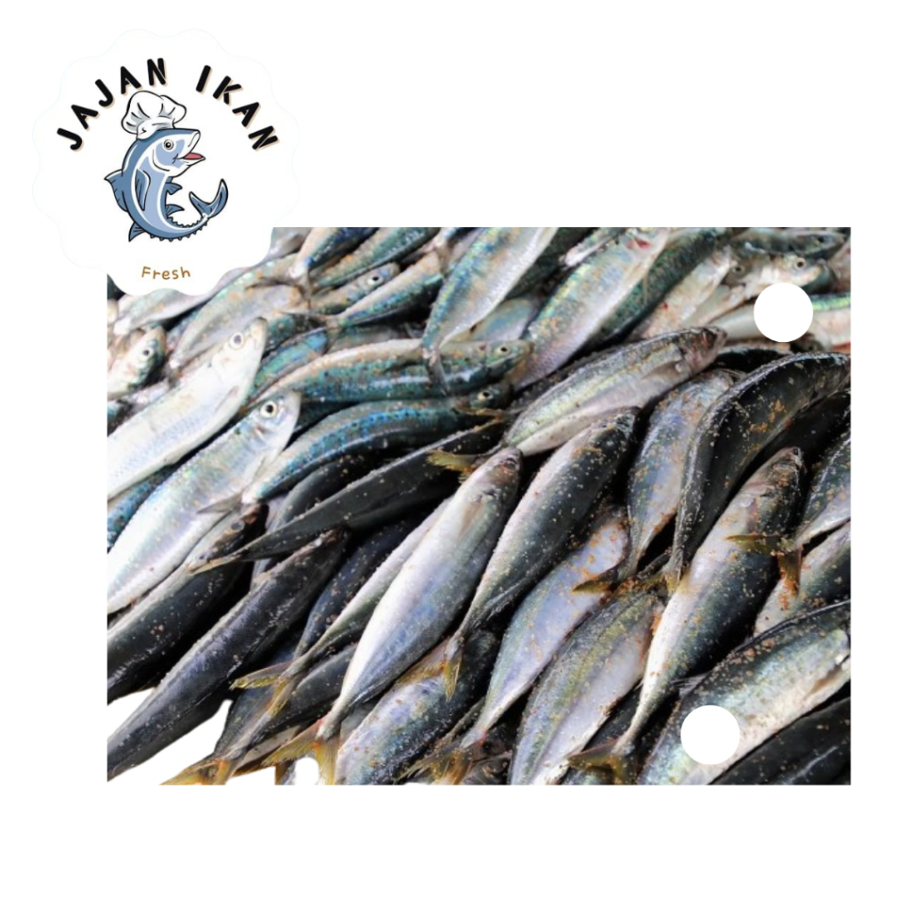 

Ready Ikan Cue [JAJAN IKAN] Cue Layang 1Kg Segar