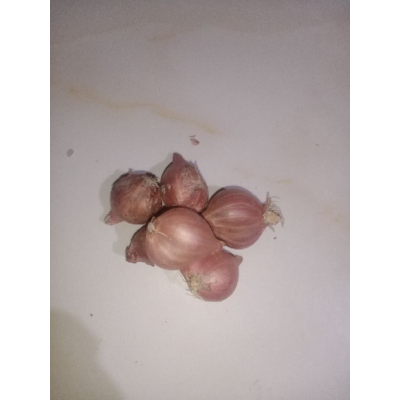 

Bawang merah super