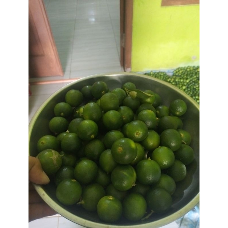 

Jeruk perasSunkist 1kg