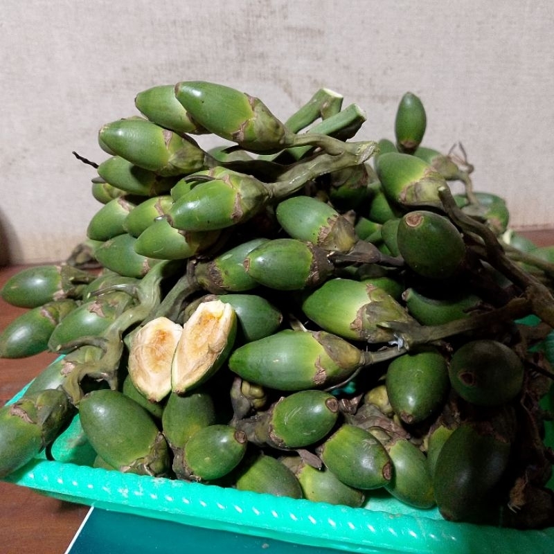 

1 kg buah pinang muda fresh, banyak khasiat