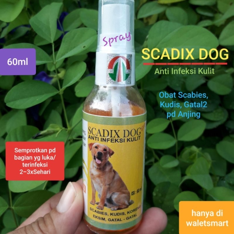 SCADIX DOG Spray 60ml Obat Scabies Demodex Kudis Koreng Eksim Gatal-Gatal Jamur Parasit Kutu pada An