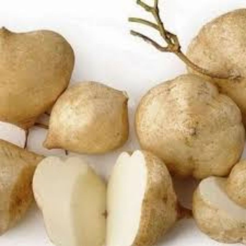 

buah bengkuang segar 1kg