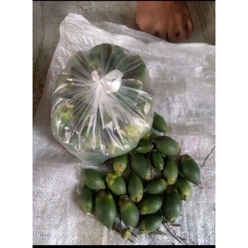 

harga PROMO pinang muda/jambe muda 500gram fresh segar dari tangan pertama