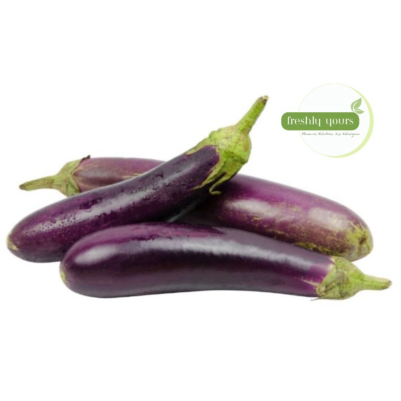 

Terong Ungu Segar Kiloan Sayur Terong Panjang