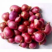 

BAWANG MERAH PROBOLINGGO 500 GRAM