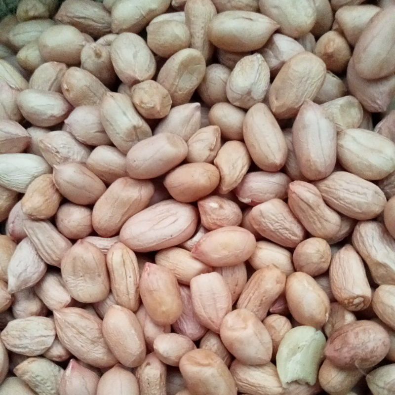 

kacang 100gr