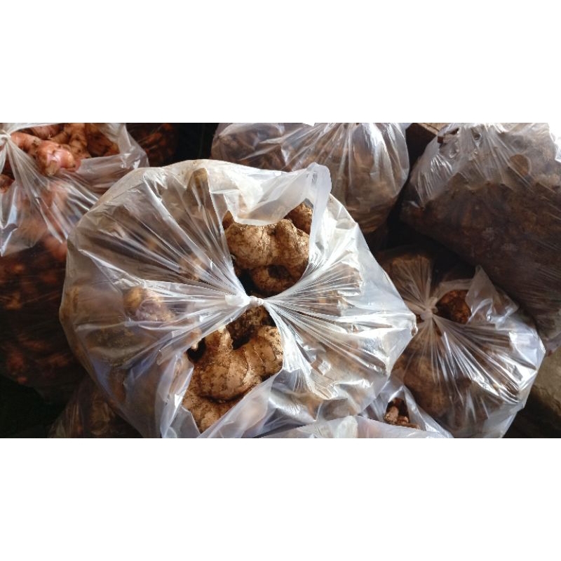 

Jahe Jawa Lokal Bukan Impor