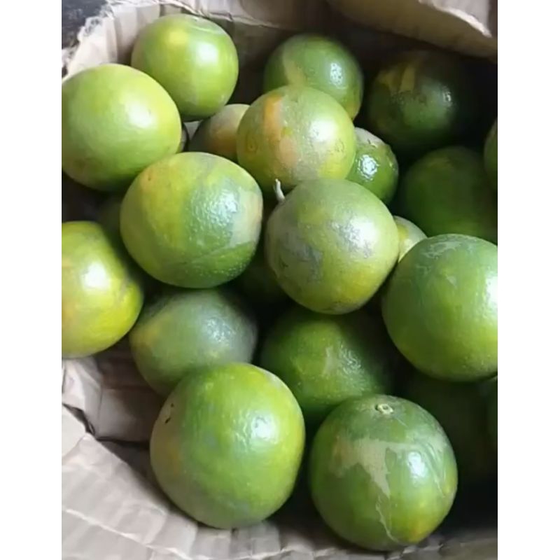 

Promo-Jeruk Baby Java Manis Fresh 1Kg, Dikrim Tgl 8 April 25
