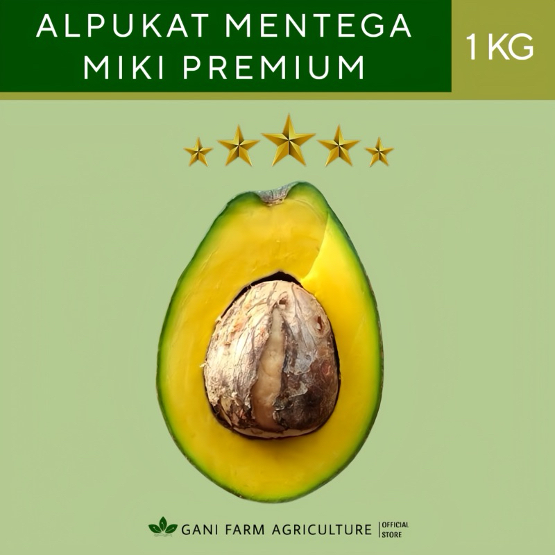 

ALPUKAT MIKI PREMIUM (UNGGULAN) 1kg isi 2-3 GARANSI