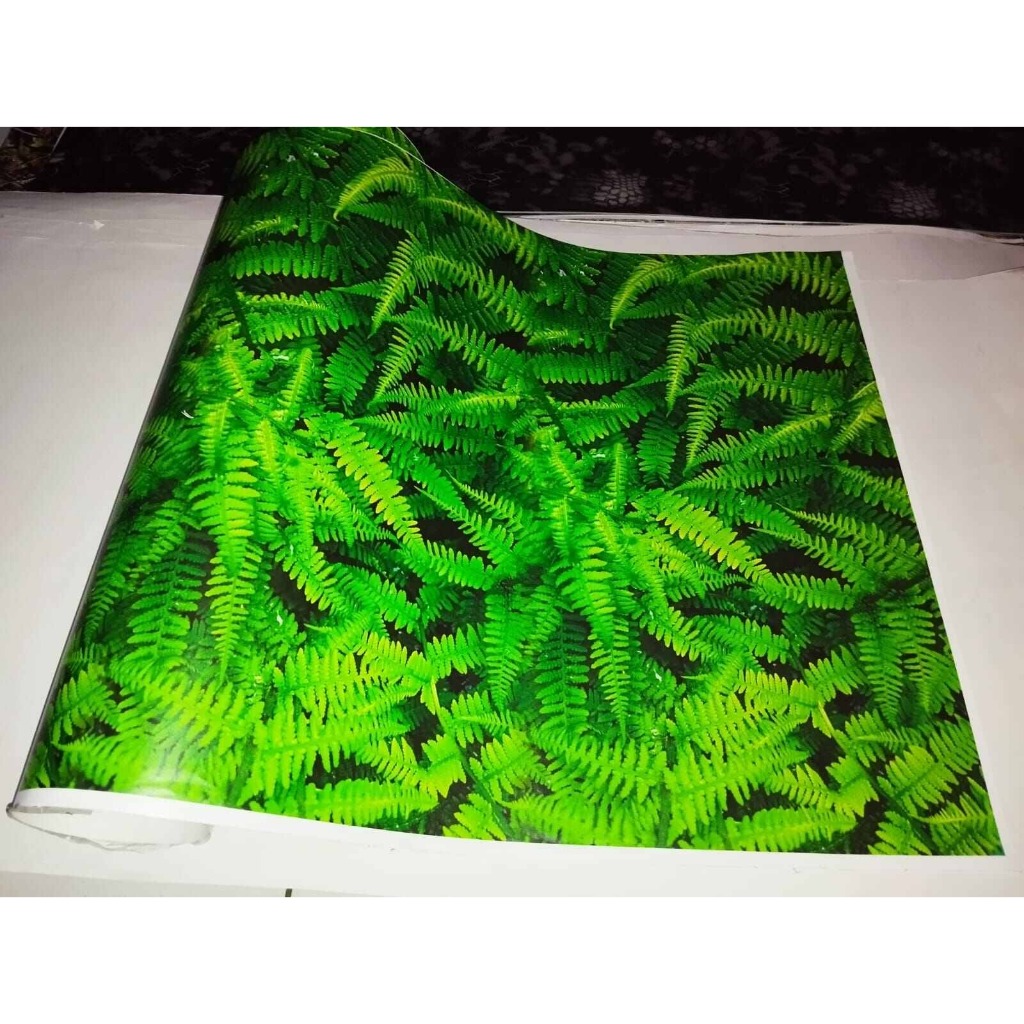 

STIKER MOTIF NATURAL PAKIS 50X50CM