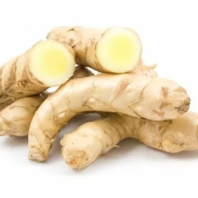 

kunyit putih fresh berkualitas herbal 1 kg