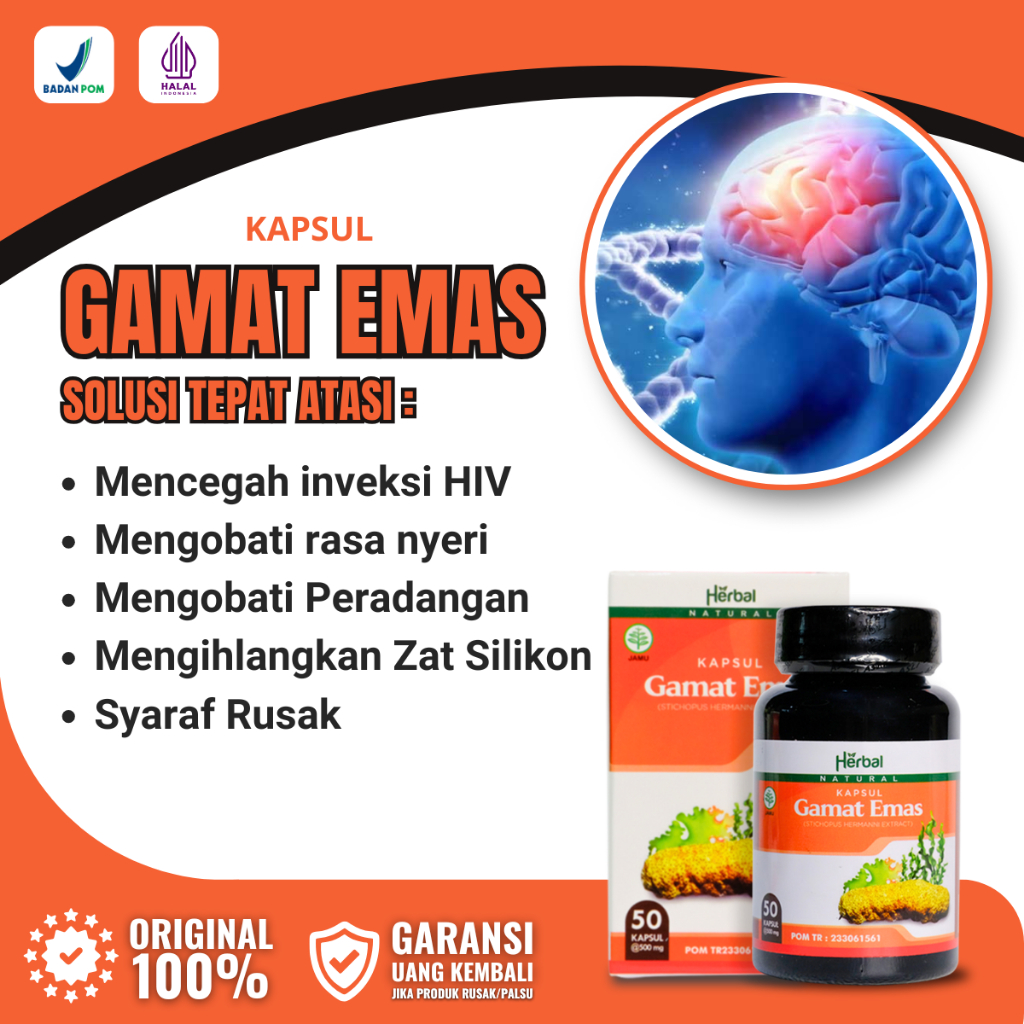 Kapsul Gamat Emas / Gamat Emas Kapsul / Herbal gamat Emas Kapsul / Kapsul Ekstrak Teripang Emas