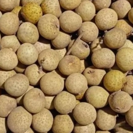 

klengkeng fresh 1 keranjang