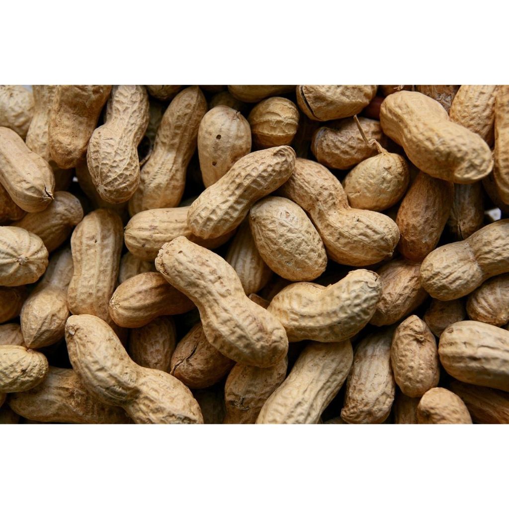 

Kacang Oven Renyah