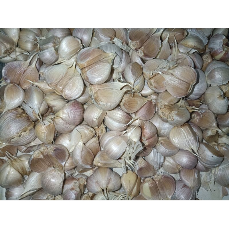 

Bawang Putih Kating Bersih