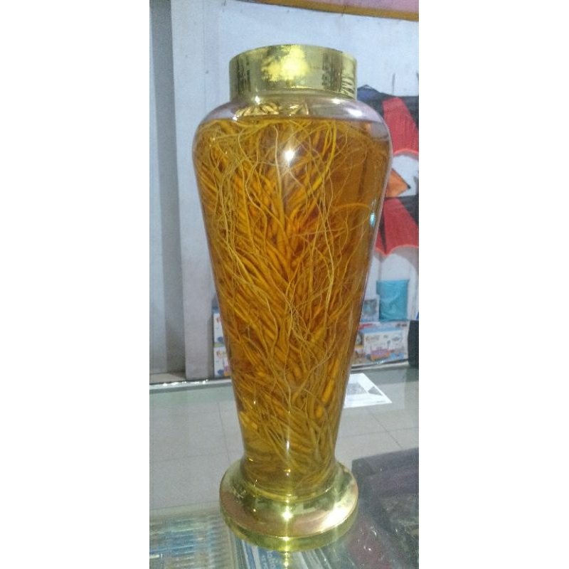 

ginseng asli Korea