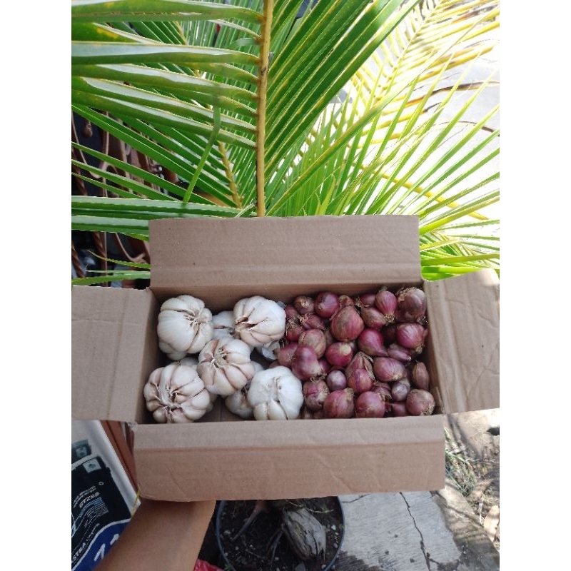 

Paket Bawang Merah Bawang Putih 1kg FRESH
