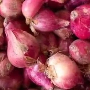 

MURAH BANGET Bawang merah ukuran besar campur