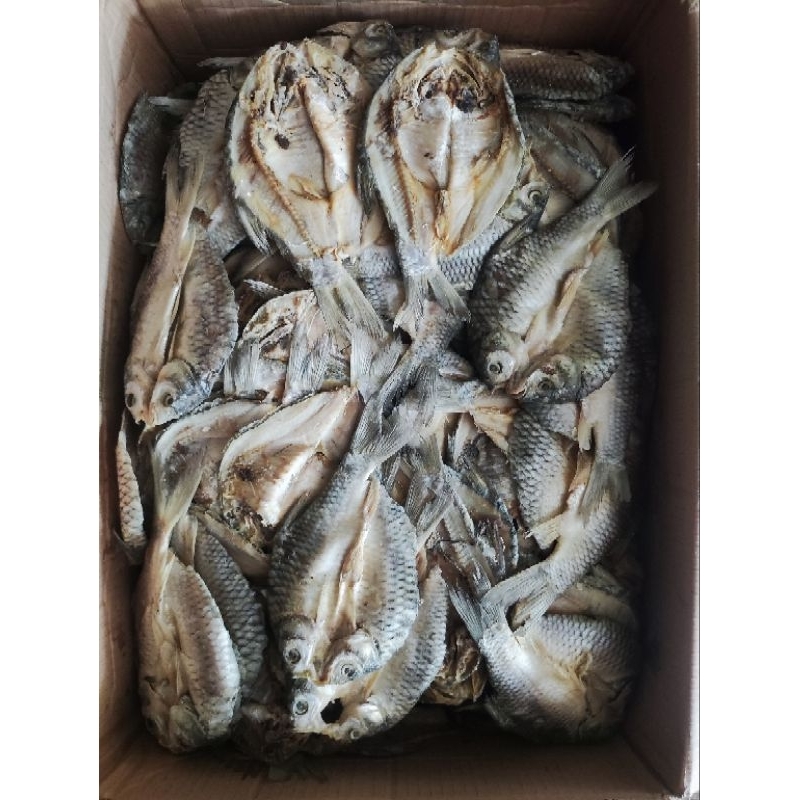 

Ikan Asin - Bader/tawes Jumbo 250 g