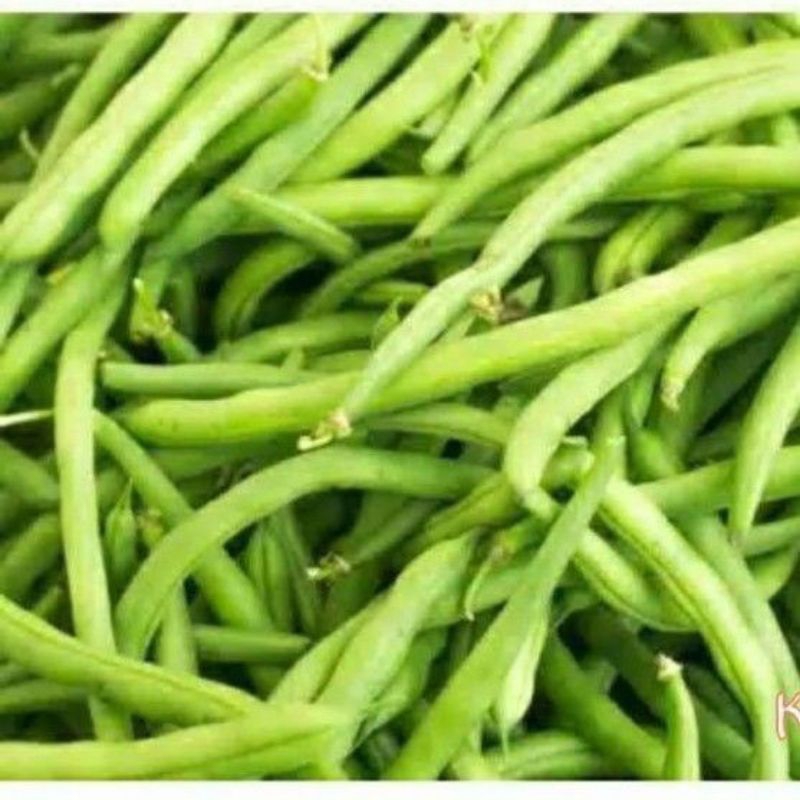 

Buncis Baby 500 gr