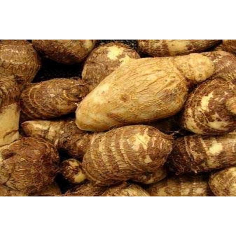 

Fresh Umbi Enthek / Mbote / Talas 1kg