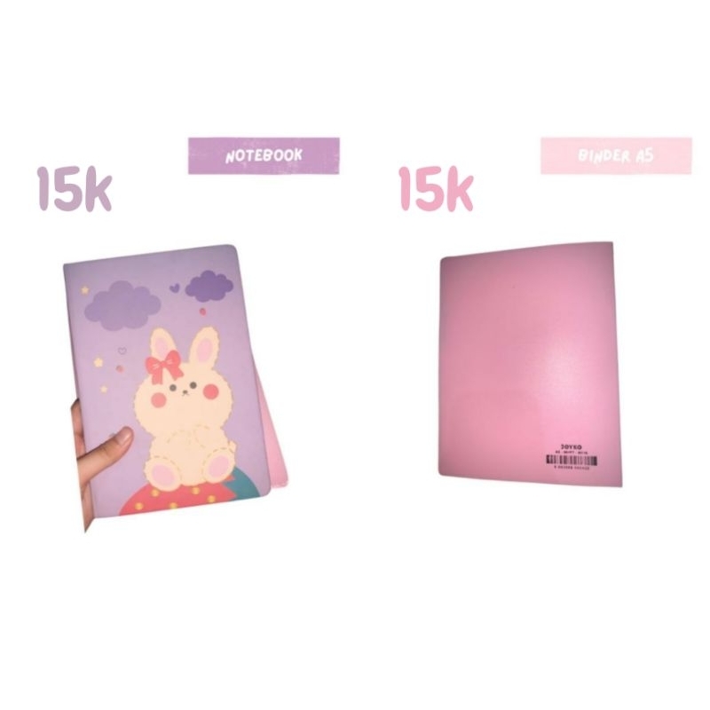 

New binder & notebook