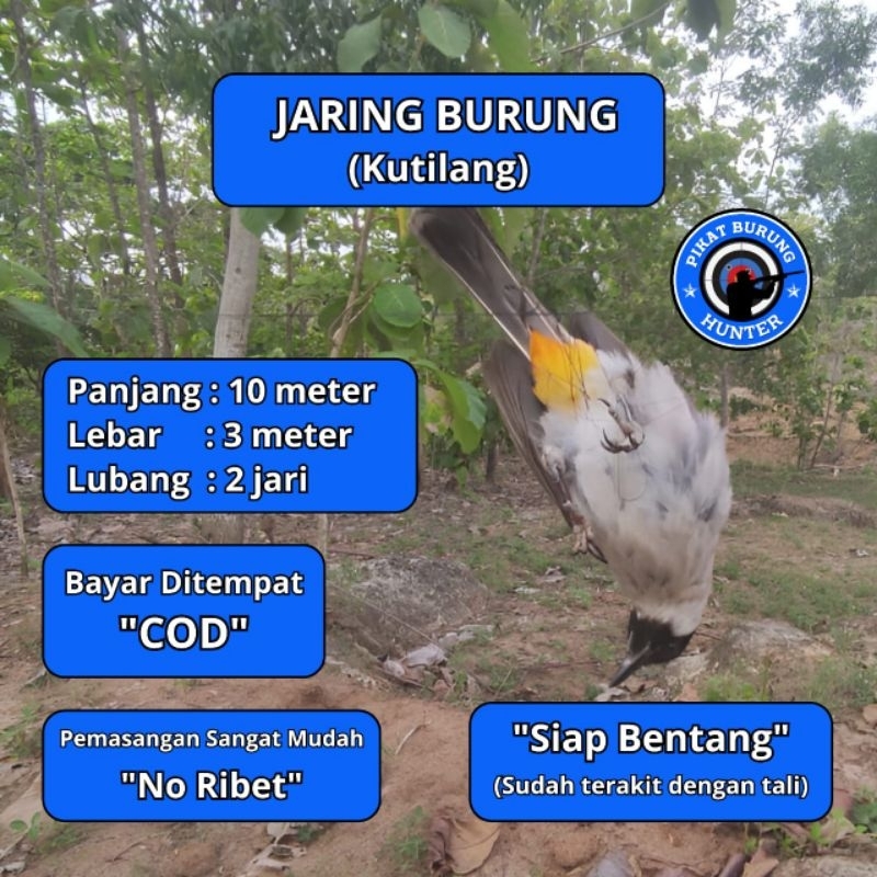 JARING BURUNG TILANG JARING BURUNG KUTILANG JALA PIKAT KUTILANG JALA PUKAT KUTILANG JARING JALA TILA