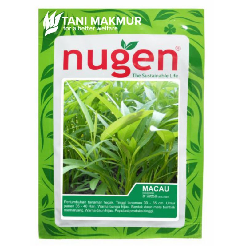 

KANGKUNG MACAU 1KG