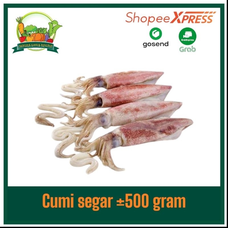 

Cumi segar ±500 gram