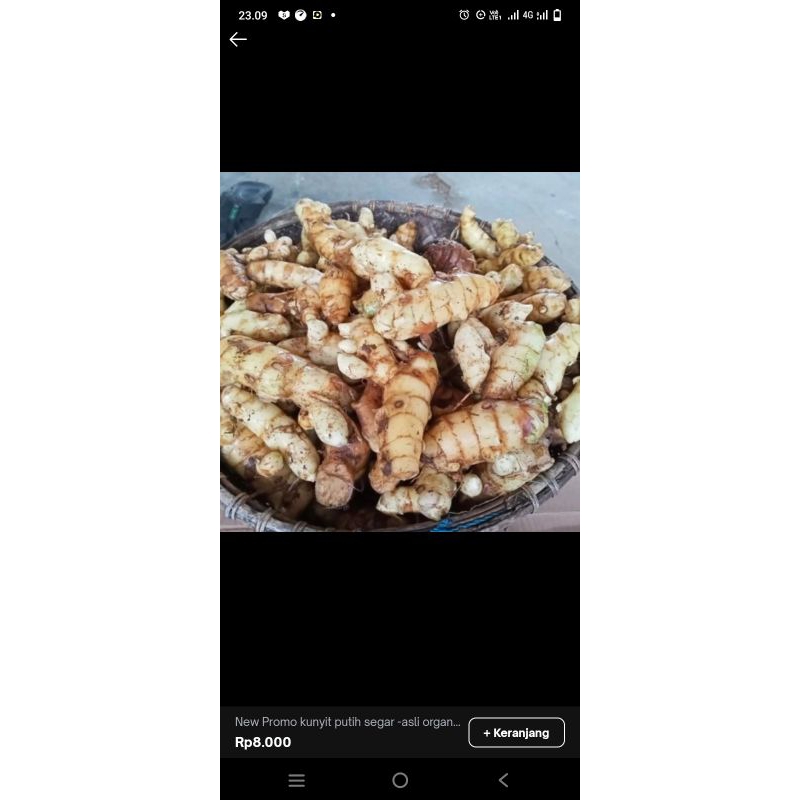 

New Promo kunyit segar-asli organik herbal 500 gr