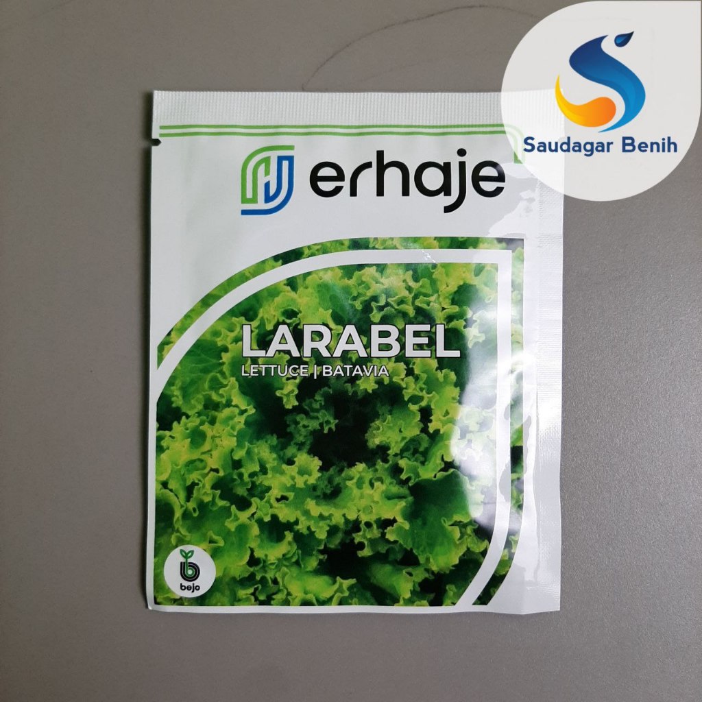 1000 pills LARABEL - Benih Lettuce Batavia Benih Selada bejo Original bejo seed